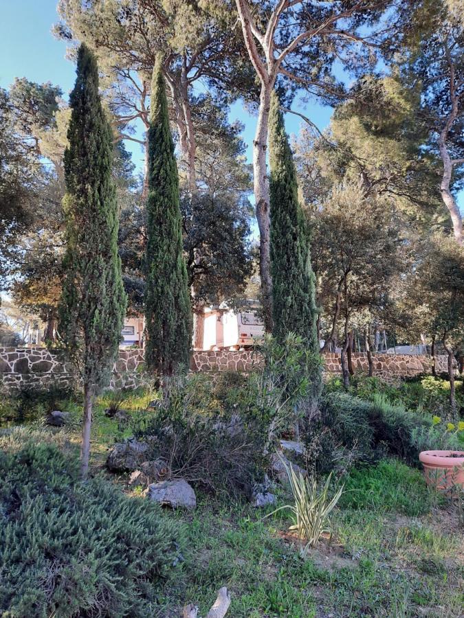 Perla Apartment Biograd Na Moru Luaran gambar